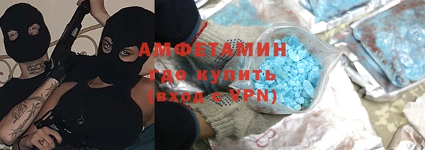 хмурый Аркадак