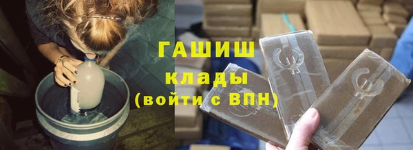 хмурый Аркадак