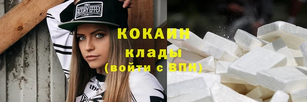 хмурый Аркадак