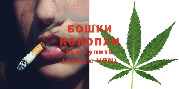 ГАЛЛЮЦИНОГЕННЫЕ ГРИБЫ Арсеньев