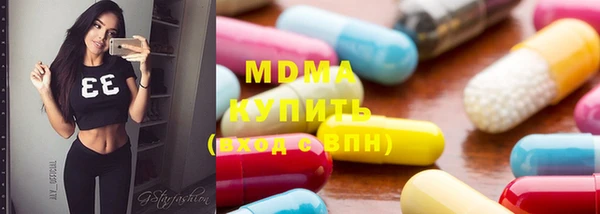 хмурый Аркадак