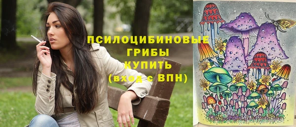 ГАЛЛЮЦИНОГЕННЫЕ ГРИБЫ Арсеньев