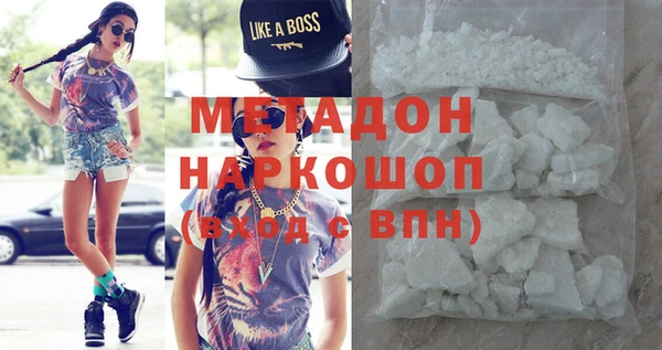 хмурый Аркадак