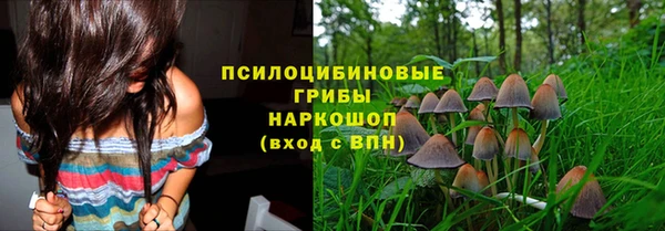ГАЛЛЮЦИНОГЕННЫЕ ГРИБЫ Арсеньев