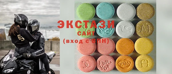 хмурый Аркадак