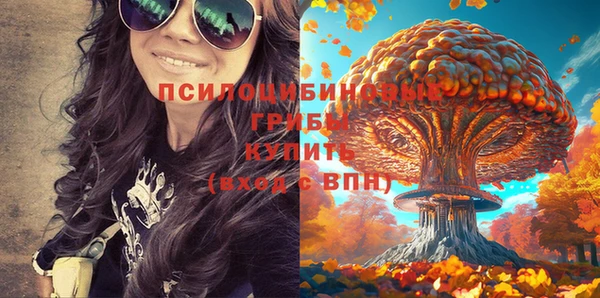 ГАЛЛЮЦИНОГЕННЫЕ ГРИБЫ Арсеньев