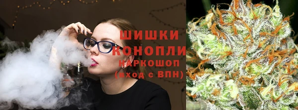 хмурый Аркадак