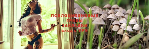 ГАЛЛЮЦИНОГЕННЫЕ ГРИБЫ Арсеньев