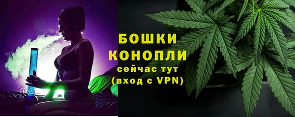 ГАЛЛЮЦИНОГЕННЫЕ ГРИБЫ Арсеньев